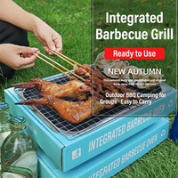Barbecue portable au charbon de bois, boîte en carton pliable, grille de cuisson pour le camping, support de cuisson extérieur pour la maison, pique-nique, 3-5 personnes