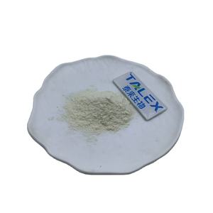 Aditivos Alimentarios Probióticos Bacillus Coagulans 10B CFU/g - 100B CFU/g Polvo de Bacillus Coagulans - Product Image 1