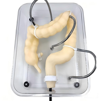 Organes coliques de simulation souple pour la formation en coloscopie, conformes CE/ISO