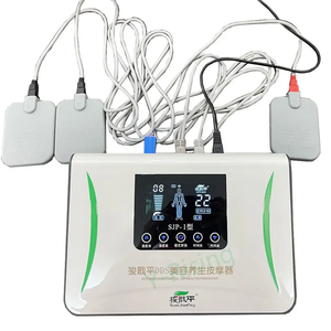 Alat pijat kesehatan, baru, SJP-1 berbahan dasar asam DDS bioelektrik peralatan kecantikan pijat kesehatan - Product Image 2