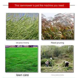 <span class=keywords><strong>Tondeuse</strong></span> à gazon autotractée multifonctionnelle en acier pour essence et diesel, machine de coupe d'herbe commerciale pour ferme - Product Image 2