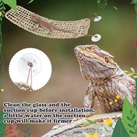 Échantillon gratuit hamac de dragon barbu rectangulaire jonc de mer pour lézards caméléon Gecko serpents Lguana Reptiles tortues