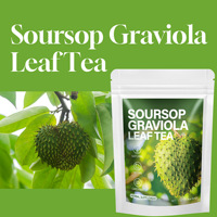 Vente en gros de feuilles de graviola biologique de qualité supérieure pure tisane de haute qualité OEM/ODM thé en vrac soutien immunitaire santé quotidienne