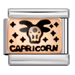 Colgante Rectangular de Acero Inoxidable con Baño de Oro y Esmalte, Amuleto del Zodíaco <span class=keywords><strong>Capricornio</strong></span>, Componentes de Joyería DIY para Pulseras de Astrología al por Mayor - Product Image 2