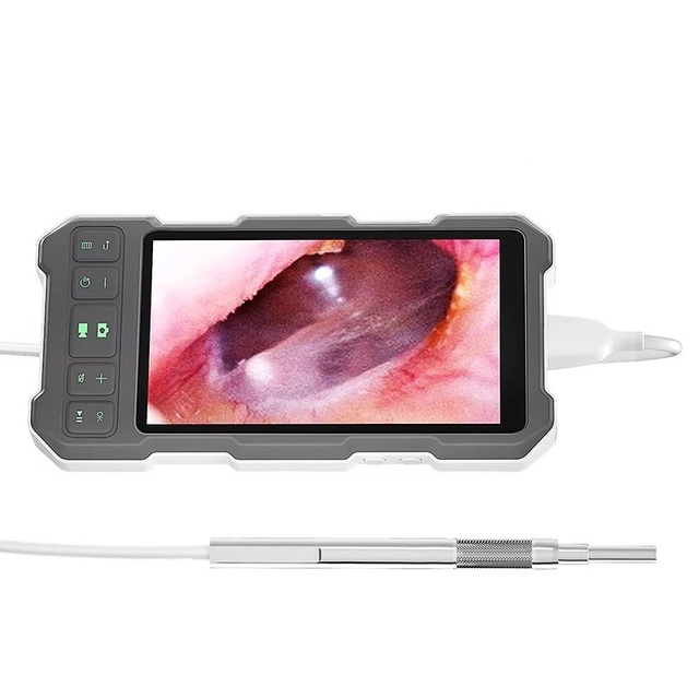 Digital Otoscope Video Ear Cleaner 3.9mm/4.5mm Pick 5inch Screen Ear Wax Removal Tool Visual Ear Wax Screen Clean Tool