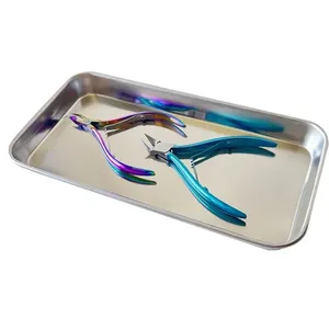 1 pièce Plateau de rangement cosmétique en acier inoxydable, plateau pour équipement de nail art, plateau chirurgical dentaire, plateau pour manucure et faux ongles, outils - Product Image 2