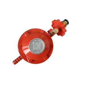 Vanne de réduction de pression de gaz européenne Elephant 0.6L, à passage direct, unidirectionnelle, à joint rigide, norme GB35848-2018 - Product Image 4