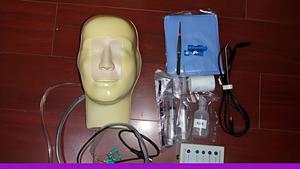 Modelo de Simulación de Hemorragia Nasal, Maniquí de Práctica Educativa para la Enseñanza de Habilidades - Product Image 3