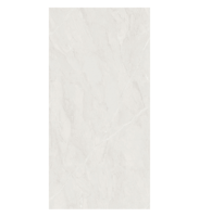 Vente chaude 600*1200mm Carreaux de sol en porcelaine émaillée pour la fonction antidérapante de mur intérieur brillant de maison