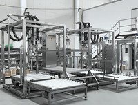 Machines de remplissage de sacs aseptiques à une tête et à double tête pour jus de fruits, pâte de tomate, jus de fruits concentré et lait.