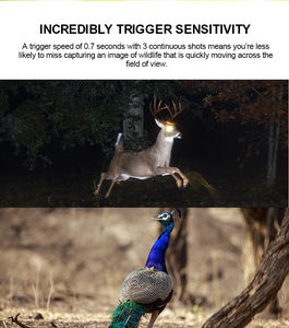 קיר לילה חזון לילה חיצוני לילה צילום סיור דיגיטלי מסלול ציד תרמי עמיד למים 1080p מצלמת משחק פרוע - Product Image 2