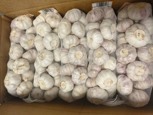Ajo Jin <span class=keywords><strong>Xiang</strong></span> Rojo y Blanco Puro de 5.5cm y 6.0cm, Última Cosecha, Exportación a Granel, Proveedor de Ajo Fresco - Product Image 6