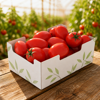 Maßgefertigte Wellpappe-Beerenbox Belüftete Kraftpapier-Obstschale mit Trennwänden für Erdbeeren und Blaubeeren Großhandel