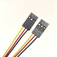 5P/3P/2-pin Dupont 2.54mm perempuan kedua ujung kabel 28AWG