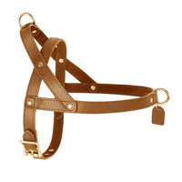 Ensemble de laisse de collier de harnais pour animaux de compagnie en similicuir de luxe | Accessoires de marche pour chiens multicolores élégants avec matériel doré