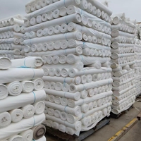 Tissu Pongee 75D 190T 100% Polyester Respirant Imperméable Léger Anti-boulochage Teint en croix Doublure tissée