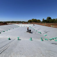 Geotextil No Tejido Blanco NETE, Punzonado con Aguja, Garantía de 5 Años, 100m de Longitud, para Construcción de Carreteras, Drenaje y Filtración