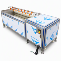 Aardappel Wortels Cassave Dadels Borstel Schil- en wasmachine Cassavehuid Gember Aardappelschil Wasmachine Schilmachine Wasmachine