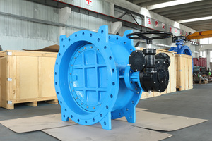 Brida Doble Excéntrica de Hierro Dúctil WRAS SO-1 de Gran Tamaño 16DN800, Fabricada en China - Product Image 4