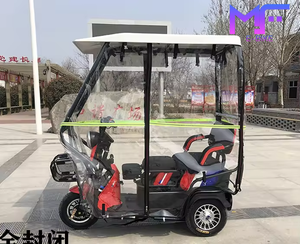 Usine <span class=keywords><strong>3</strong></span> <span class=keywords><strong>roues</strong></span> vélo électrique 600W 48V tricycles électriques pour adultes - Product Image 5
