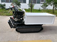 Dumper sur chenilles 1Ton Small Crawler Dumper 500KG 1000KG Mini Dumper 4x4