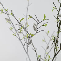 Branches de saule artificielles réalistes de 96 cm, style printanier, fausses branches d'arbre séchées, pour décoration de mariage, salon, maison, café