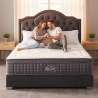 Sleep Hotel OEM-Service 12 Zoll Federkern-Latex-Schaum-Taschenfederkernmatratze für den Heimgebrauch Modern Vakuumkomprimiert in einer Box