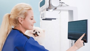 Système d'imagerie numérique vétérinaire professionnel Mindray VetiX S300, comprenant une machine à rayons X numérique à panneau plat sans fil pour clinique vétérinaire - Product Image 2