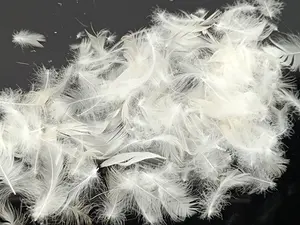 High Quality Cheap Wholesale So Soft Pillow Comforter Filled With Feather Material 2-4CM White Duck Feather