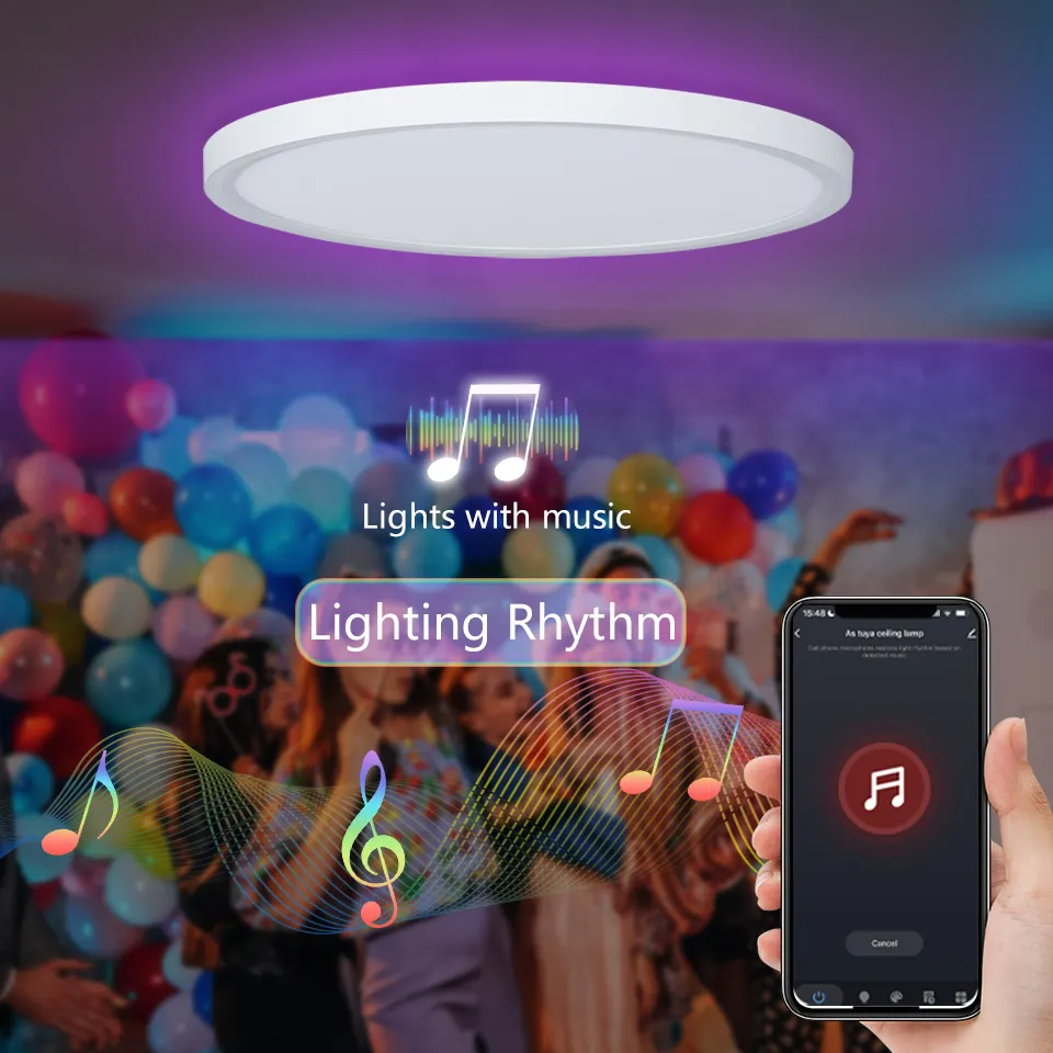 TUYA Smart Home Lighting D300mm 24W RGB Dimmable LED plafonnier fonctionne avec Alexa et Google Assistant