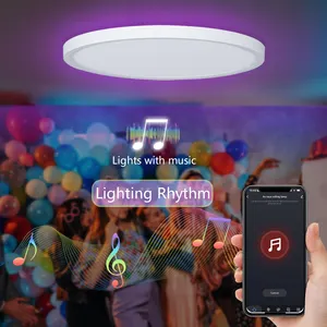 TUYA Smart Home Lighting D300mm 24W RGB Luz de techo LED regulable Funciona con Alexa y Google Assistant - Product Image 1