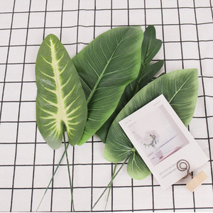 Cadre d'escalade pour <span class=keywords><strong>chat</strong></span> transfrontalier feuille artificielle plante verte Canna feuille de pastèque éléphant oreille feuille organiser vos accessoires - Product Image 4