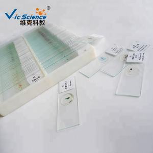 Ensemble <span class=keywords><strong>de</strong></span> 50 Lames Microscopiques Mixtes en Plastique et Verre pour l'Enseignement et la Recherche Scolaire, Lames Préparées - Product Image 6