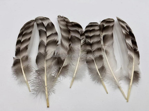 Venta al por Mayor de 50 Piezas/Bolsa de Plumas de Ala de Gallo <span class=keywords><strong>Chinchilla</strong></span> Naturales de 15-20 cm para Sombreros de Carnaval, Manualidades y Decoraciones para Fiestas - Product Image 4