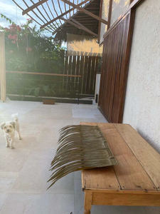 Tejas lisas de hoja de palmera de <span class=keywords><strong>Coco</strong></span> para una estética mejorada - Product Image 6