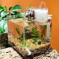 Aquarium pour poissons bêta avec filtre et pompe à eau