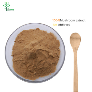 Poudre de champignons shiitake biologiques certifiée UE et USDA - Product Image 2