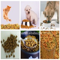 Machine de traitement entièrement automatique de granulés d'aliments pour animaux de compagnie, machine d'extrusion de granulés flottants pour aliments pour crevettes et poissons