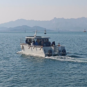 Bateau à moteur à double coque en aluminium entièrement soudé de 11 m (36 pieds) pour la pêche et les loisirs, type catamaran, avec passerelle latérale - Product Image 3
