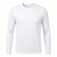Vente en gros de t-shirts de sport à manches longues personnalisés pour hommes, 100% polyester, à séchage rapide, anti-transpiration, vêtements de sport en gros pour équipes, OEM