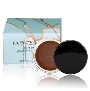 <span class=keywords><strong>Mejor</strong></span> venta de producto logotipo personalizado profesional de herramientas cosméticas natural <span class=keywords><strong>mejor</strong></span> maquillaje crema <span class=keywords><strong>corrector</strong></span> - Product Image 1
