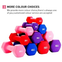 NJ GYM Ensemble d'haltères hexagonaux en néoprène rose avec logo personnalisé Équipement de fitness en acier et fer longue durée Gym populaire en caoutchouc moulé