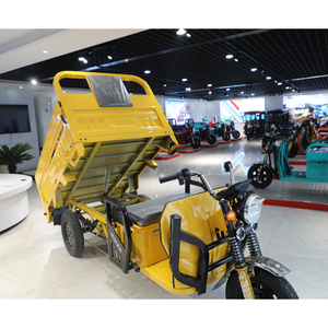 Esportazione nuovo elettrico 3 ruote Baby Truck 48V 800W Minivan triciclo elettrico per il trasporto merci 60 v45ah passeggeri-Cargo a doppio uso - Product Image 4