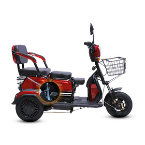Tricycle électrique fermé certifié, 2 places, cabine fermée, véhicule électrique à 3 roues pour usage familial - Product Image 1
