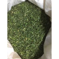 Moringa Daun Kering Moringa Asli Kualitas Asli CHOLA Makanan Super Hemat Biaya CSF/MDLN/2022-2023