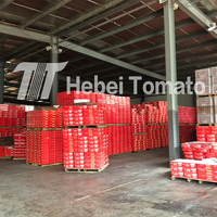 Pâte de tomate double concentrée 70g d'usine avec concentré 28-30% dans une sauce tomate à poche autoportante