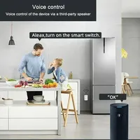Prise intelligente WiFi Yandes 16A double prise 2.4G, application EWelink, commande vocale Android, minuterie, compatible Alexa Google Home, extérieur, hôtel