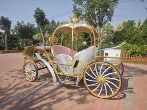 حفل زفاف اليقطين الوردي الكهربائي ، عربة حصان كهربائية/عربة يقطين وردي صغيرة - Product Image 2