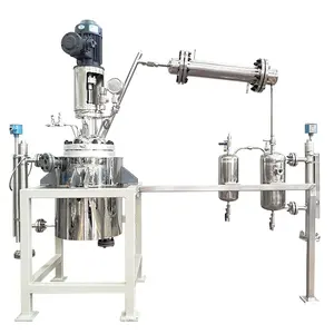 China CE EAC 0,1-100L Acero inoxidable automático de alta presión temperatura laboratorio reactor químico lote Autoclave PID Autocontrol