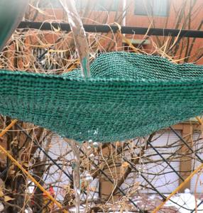 Nhà Kính Sun Shade <span class=keywords><strong>Net</strong></span> cho nông nghiệp Nấm trang trại mật độ 70% Sun Shade <span class=keywords><strong>Net</strong></span> - Product Image 2